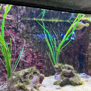 Zoo-Aquarium
