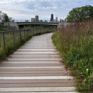 The 15 Best Hiking Trails in Chicago