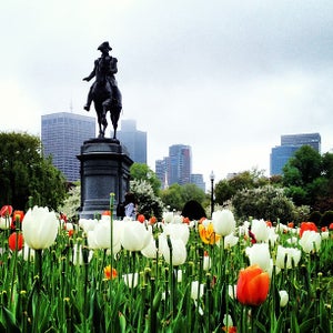 The 15 Best Places with Gardens in Boston