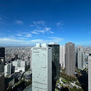 North Observatory (東京?庁 ?????室)