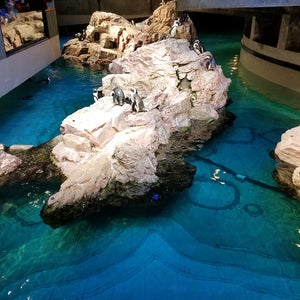 The 13 Best Places for Aquariums in Boston