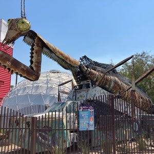 Praying Mantis