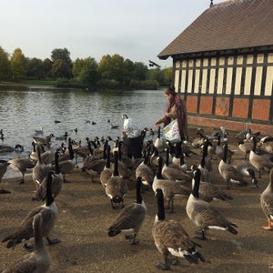 The 15 Best Places for Park in London