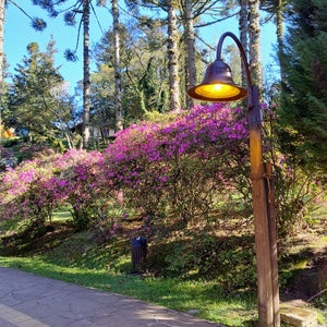 Parque do Lago Negro