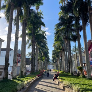 Rua das Palmeiras