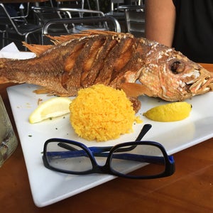 The 15 Best Places for Red Snapper in Miami