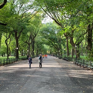 The 15 Best Places for Fresh Air in New York City