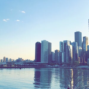 The 15 Best Places for Piers in Chicago