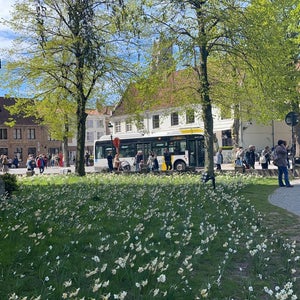 Bootexcursies Gruuthuse / Boottochten Brugge