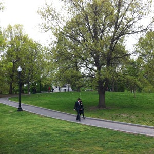 The 15 Best Places for Park in Boston