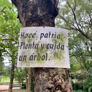 Parque Carlos Antonio Lopez