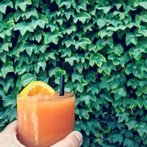 The 15 Best Places for Frozen Drinks in Chicago