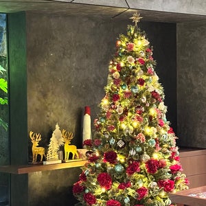 Solaria Nishitetsu Hotel Kyoto Premier Sanjo Kamogawa (????西???????京????????条鴨川)