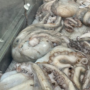 Ribarnica Zadar