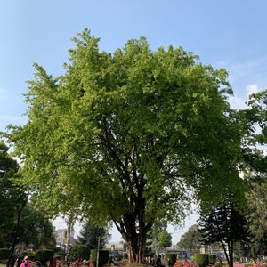 Ratna Park