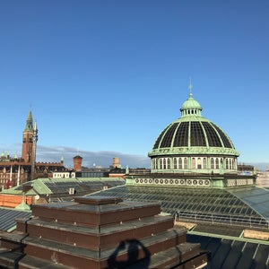 Tagterrassen - Glyptoteket