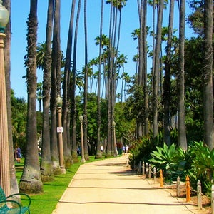 The 15 Best Places for Fresh Air in Santa Monica