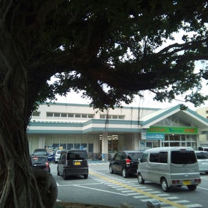 ???? V21 ?????く??館