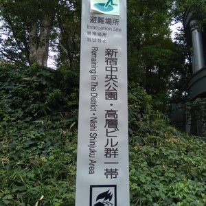 Shinjuku Chuo Park (?宿中央???)