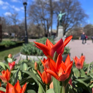 Karl XII:s torg