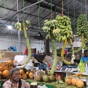 Local Market