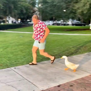Lake Eola Playground