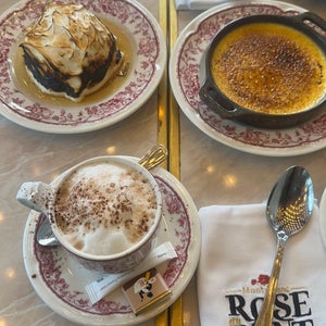 Rose Du Pont