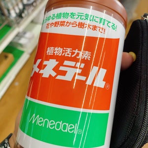 ????????????? ?条大路?
