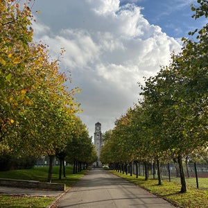 Stanley Park