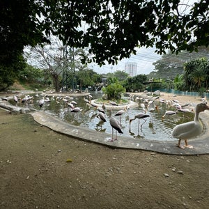 Kuala Lumpur Bird Park