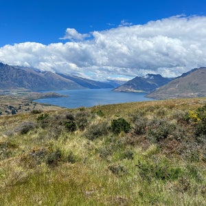 Queenstown Hill Scenic Walk