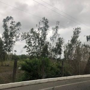 Coqueiral - Milagres