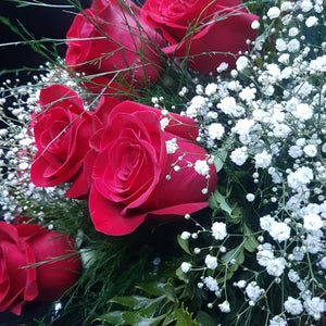 Arte Floral Floricultura
