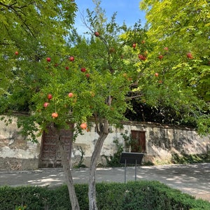 Palacio de los Abencerrajes