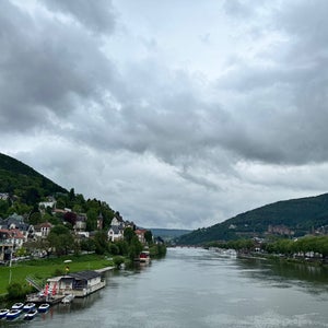 Neckarwiese