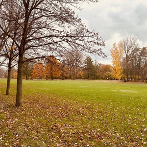 Wöhrder Wiese