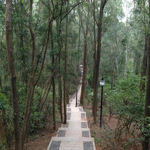 Lianhua Hill Park (�?��?�山�?��?�)