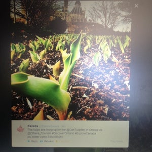 {msg desc='label for screen readers to identify tip photo'}Tip photo{/msg}