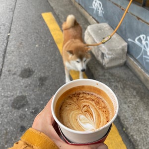 The 15 Best Places for Cappuccinos in Seoul