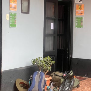 Wild Rover Hostel