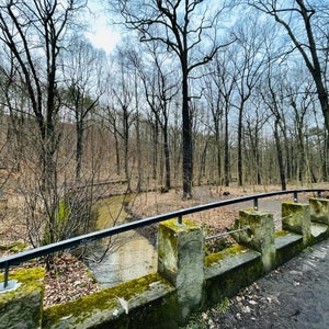 Prie?nitzgrund