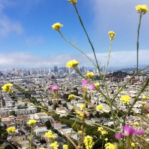 The 15 Best Places for Fresh Air in San Francisco