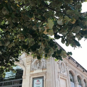 ONLYLYON Tourisme et Congrès