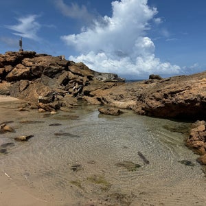 Natural Bridge