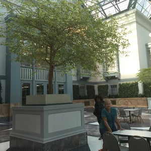 Winter Garden
