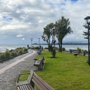 Muelle y Pedraplén