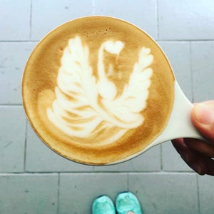 The 15 Best Places for Cappuccinos in Tampa