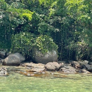 Praia De Aripeba