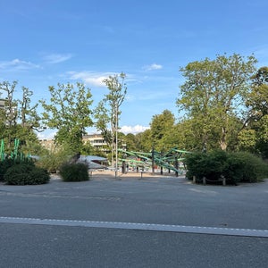 Plikta Slottskogen