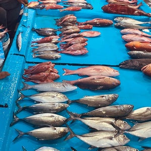 Fish Market